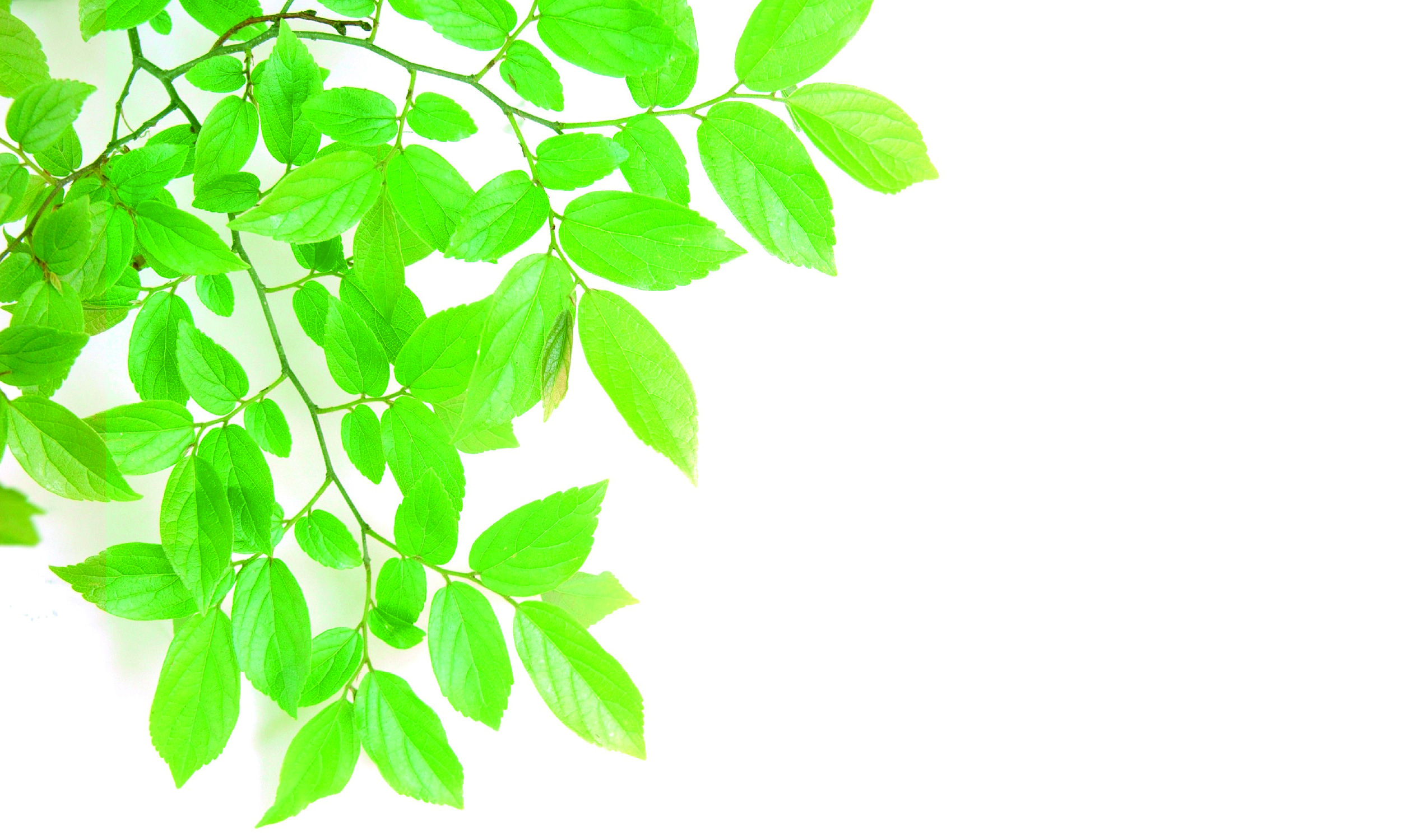 付属品／消耗品の背景画像