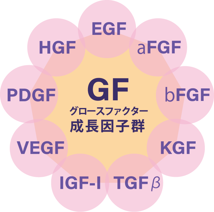 再生美容の研究イメージ