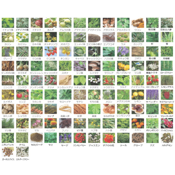 DDS 酵素パワーペーストミラクル4