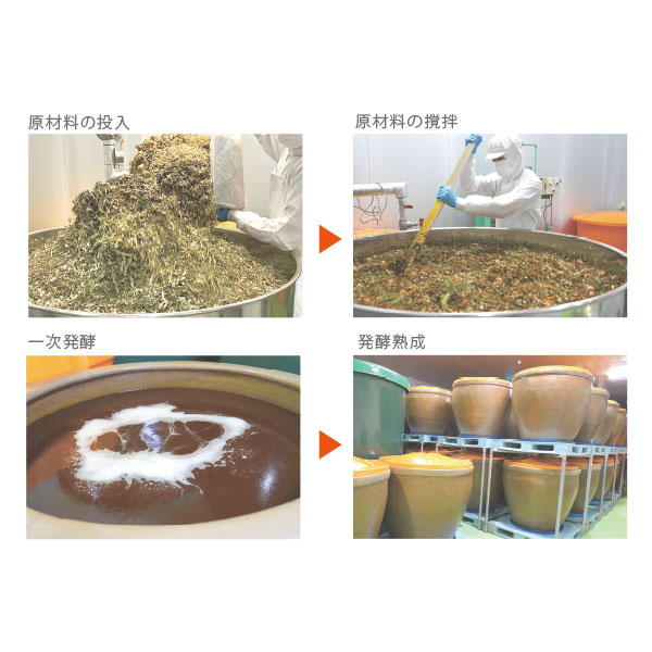 DDS 酵素パワーペーストミラクル5