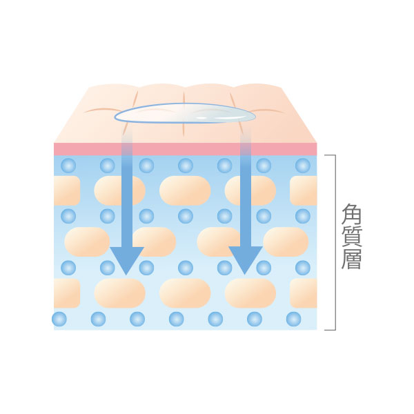 DiO(ディオ)ミストタイプ 全身導入化粧水