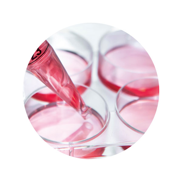 Dr.μドクターミューズ 口腔内保湿美容液2