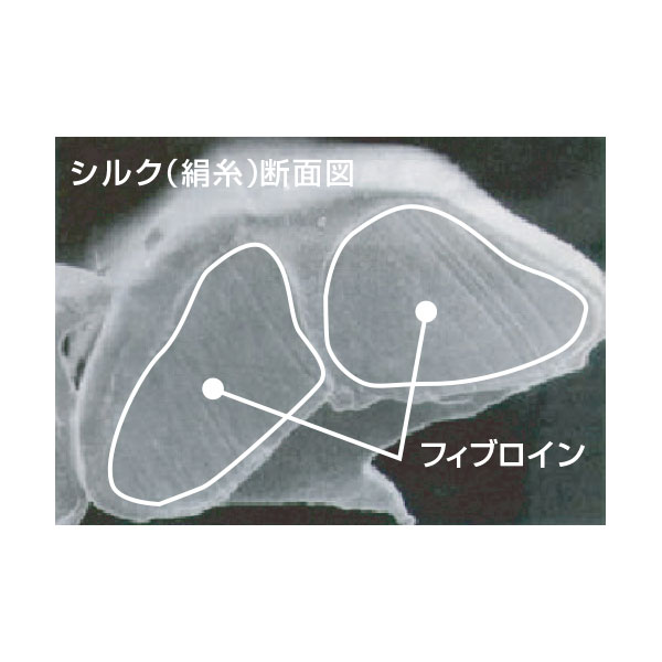 DDS PSC 100 パウダーセラム(粉状美容液)シルクフィブロイン